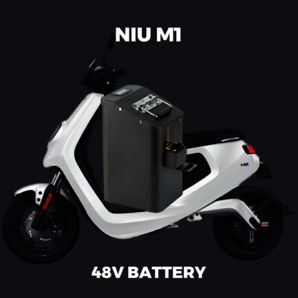 NIU M1 Battery 48V (40-160KM Range)