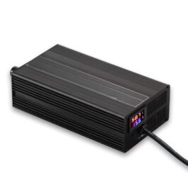 Segway snelladers instelbare laadsnelheid (10A Max)