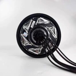QS Motor 10/12 Inch Hub Motor for NIU / Segway Electric Scooters (1500W – 25,000WP)
