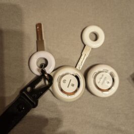 SEGWAY E300 Key Copy (Send Picture)