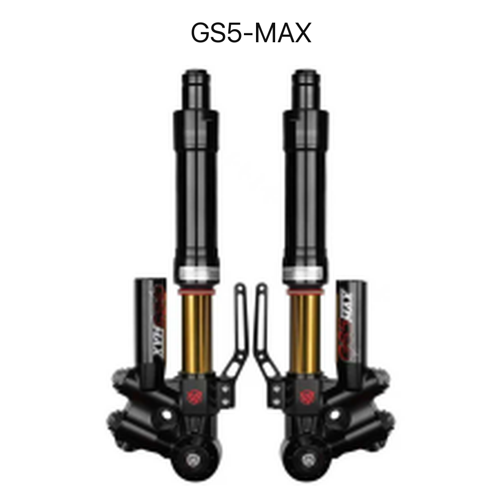 BBS GS5-MAX adjustable front shock absorber set