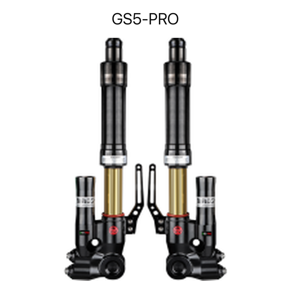 BBS GS5-PRO adjustable front shock absorber set