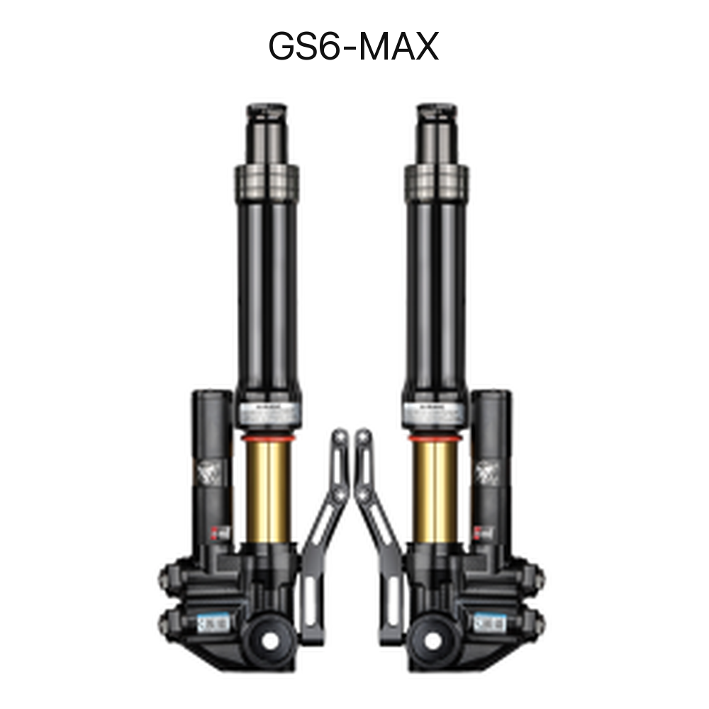 BBS GS6-MAX adjustable front shock absorber set