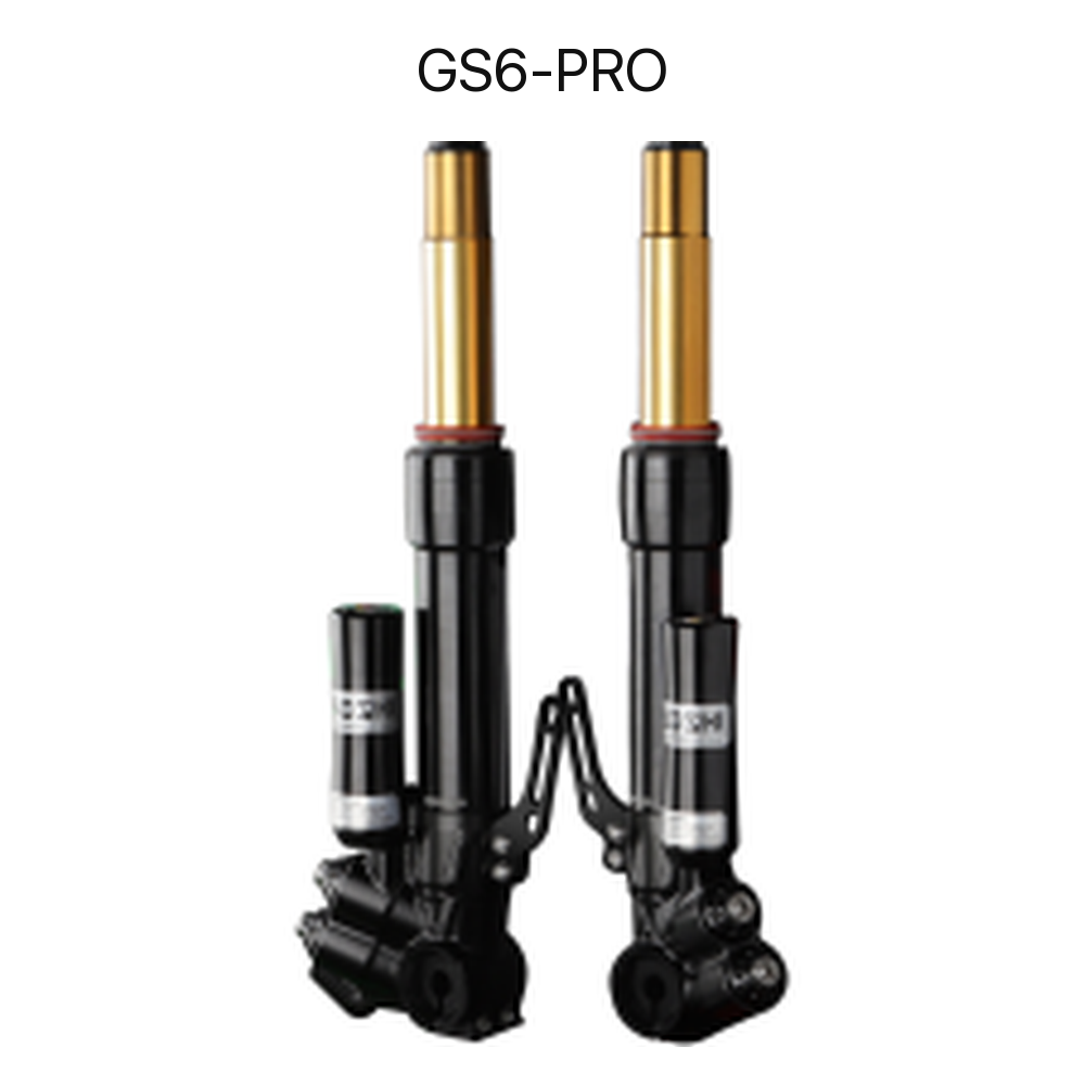 BBS GS6-PRO adjustable front shock absorber set