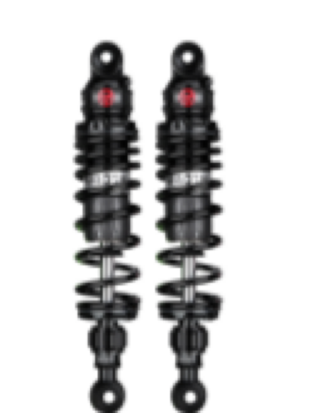 RS2-PRO adjustable rear shock absorber pair